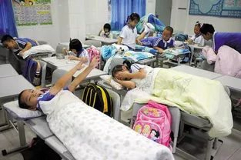 西乡塘区培训学校:教育新天地